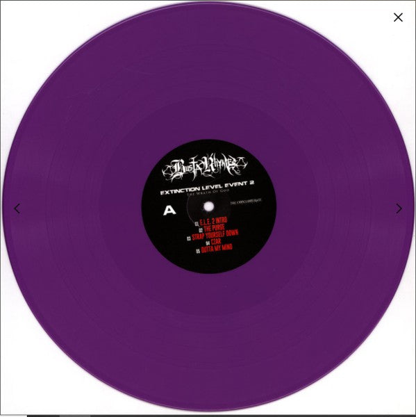 Busta Rhymes : Extinction Level Event 2: The Wrath Of God (2xLP, Album, Ltd, Pur)