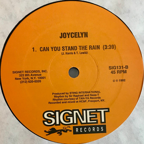 Terror Fabulous / Joycelyn : Wedding Ring / Can You Stand The Rain (12")