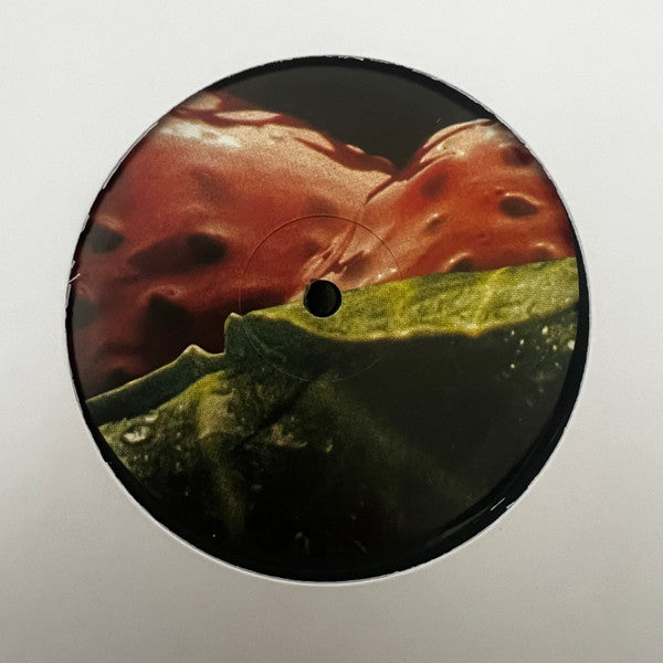 Spectacular Diagnostics : Appetites (LP, Album)