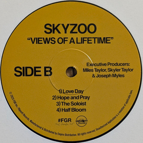 Skyzoo : Views Of A Lifetime (LP, Album, Ltd)