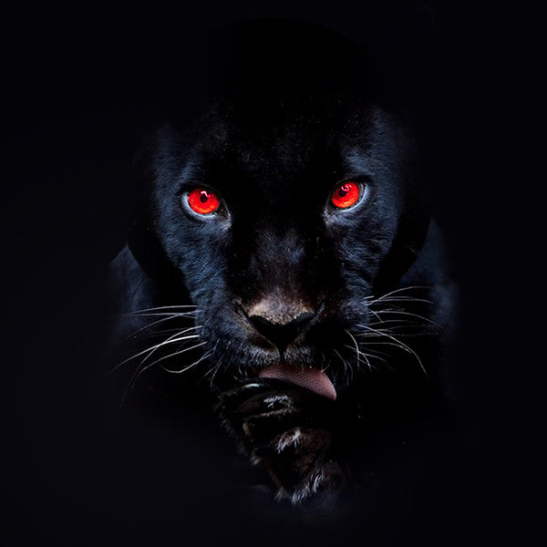 RJ Payne : He's A Fuckin Animal (LP, Album, Ltd, Num, Red)