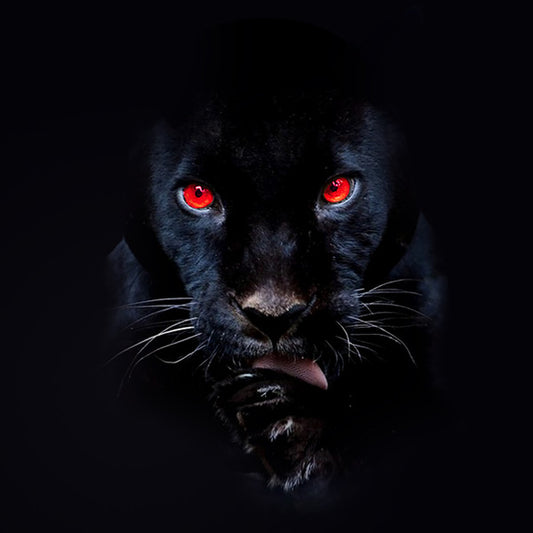 RJ Payne : He's A Fuckin Animal (LP, Album, Ltd, Num, Red)