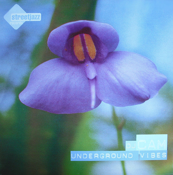 DJ Cam : Underground Vibes (LP, Album)