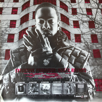 Busta Rhymes : Anarchy (2xLP, Album)