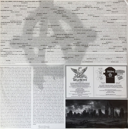 Busta Rhymes : Anarchy (2xLP, Album)