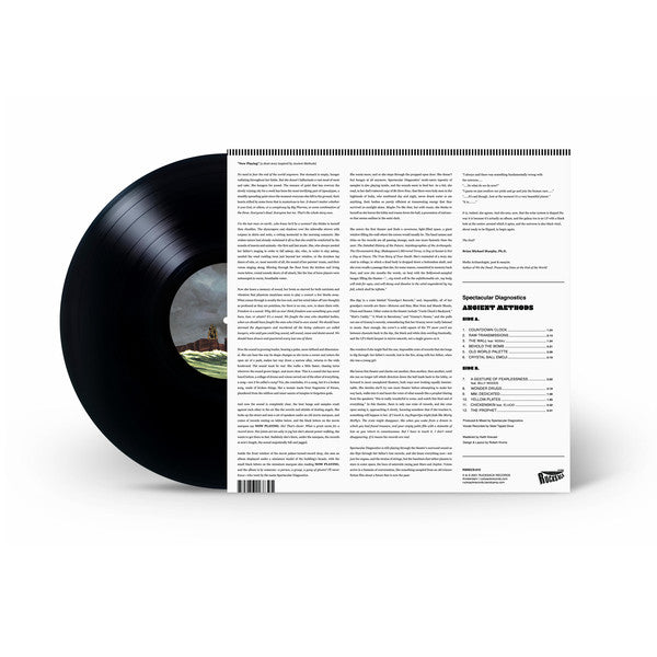 Spectacular Diagnostics : Ancient Methods (LP, Album)