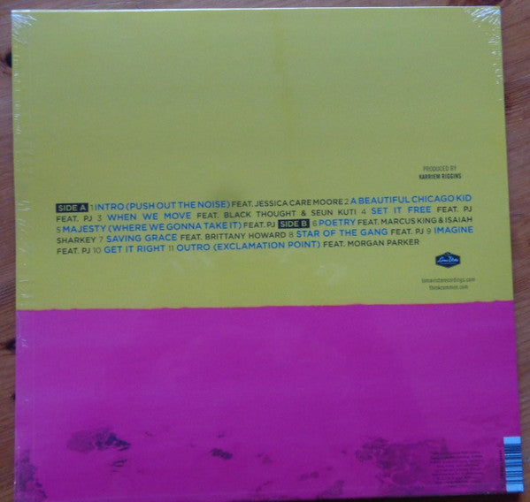 Common : A Beautiful Revolution Pt 2 (LP, Album)