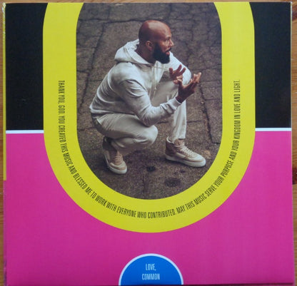 Common : A Beautiful Revolution Pt 2 (LP, Album)