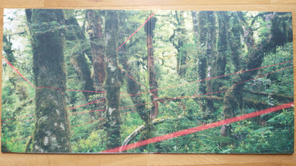 Four Tet : Everything Ecstatic (LP, RP + LP, S/Sided, Etch, RP)