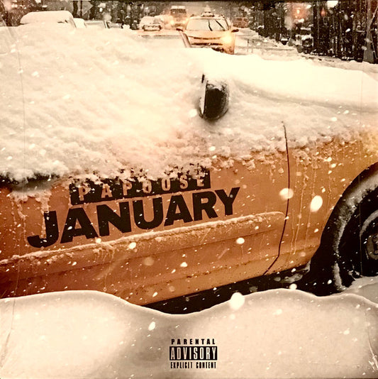 Papoose : January (LP, Album, Ltd)