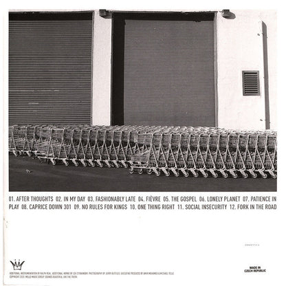 Oddisee : The Beauty In All (LP, Album, RE, Roy)