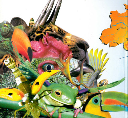 Various : Trip Do Brasil 2 (3x12", Comp)