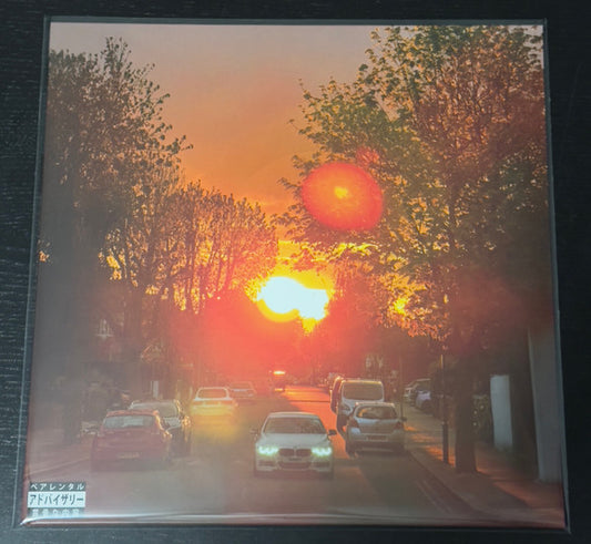 SonnyJim & Giallo Point : No Vi$ible Means Of Income 3 (LP, Album, Ltd, Spl)