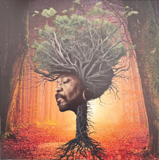 Osunlade : Inner Garden (LP, Album)