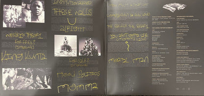 Kendrick Lamar : To Pimp A Butterfly (2xLP, Ltd, Met)