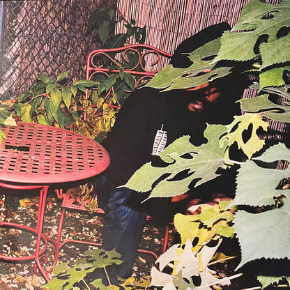 Billy Woods : Golliwog (2xLP, Album, Ltd, Blo)