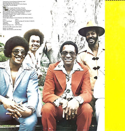 Ramsey Lewis : Don't It Feel Good (LP, Album)