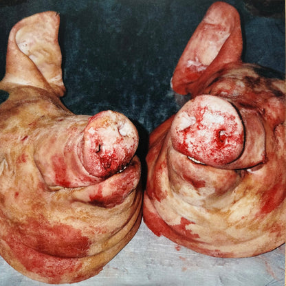 Armand Hammer & Alchemist : Haram (LP, Album, RP)