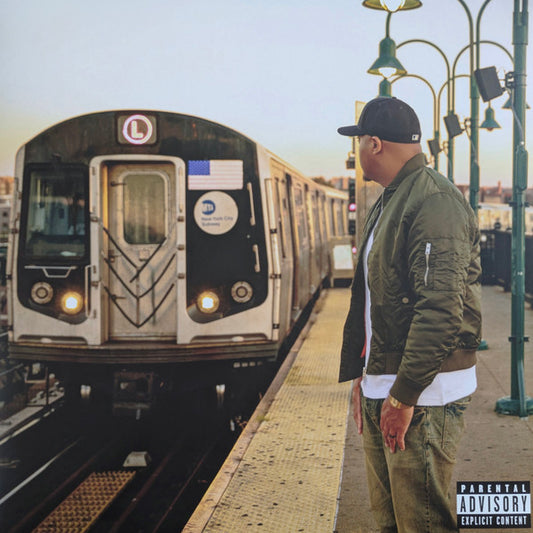 Skyzoo : Views Of A Lifetime (LP, Album, Ltd)
