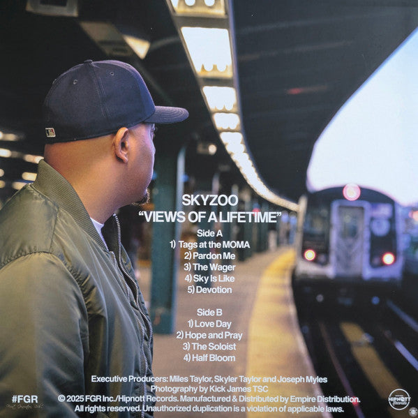 Skyzoo : Views Of A Lifetime (LP, Album, Ltd)