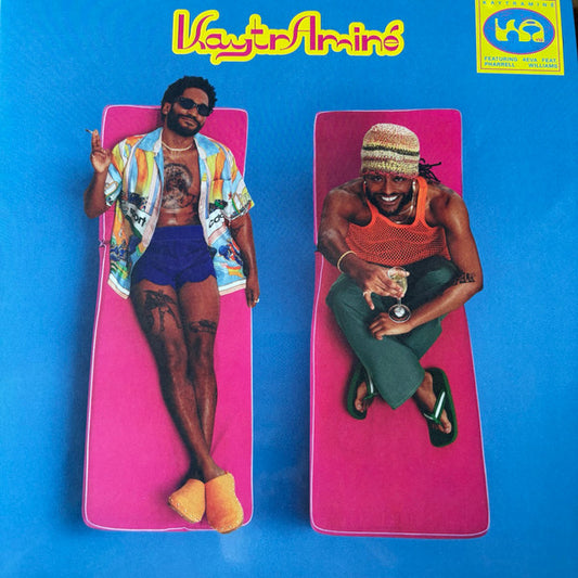 KaytrAminé : KaytrAminé (LP, Album, Pin)