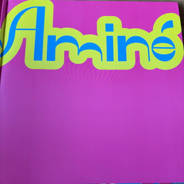 KaytrAminé : KaytrAminé (LP, Album, Pin)