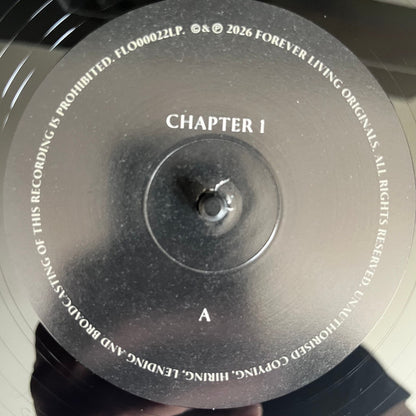 Sault : Chapter 1 (LP, Album)