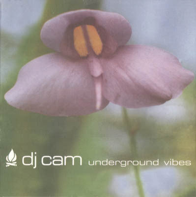 DJ Cam : Underground Vibes (2xLP, Album, RE)