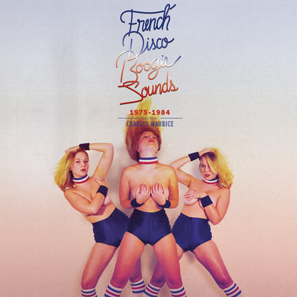 Various : French Disco Boogie Sounds (1975-1984) (2x12", Comp)