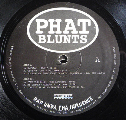 Various : Phat Blunts - Rap Unda Tha Influence (2xLP, Comp, Promo)