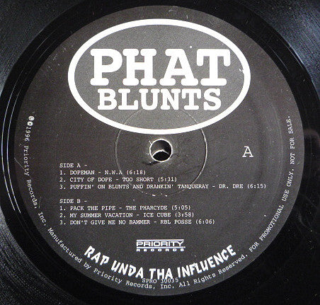 Various : Phat Blunts - Rap Unda Tha Influence (2xLP, Comp, Promo)